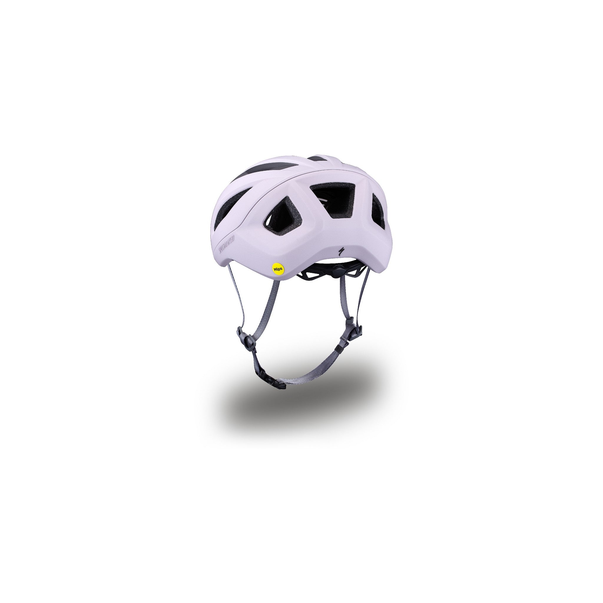 Search