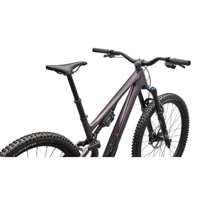 Stumpjumper 15 EVO Expert Di2