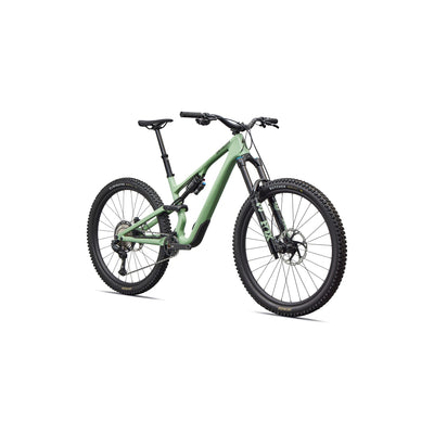 Stumpjumper 15 EVO Expert Di2