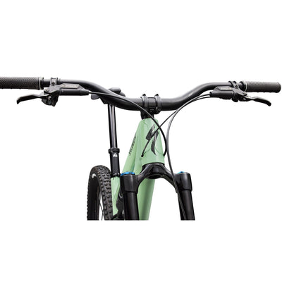 Stumpjumper 15 EVO Expert AXS