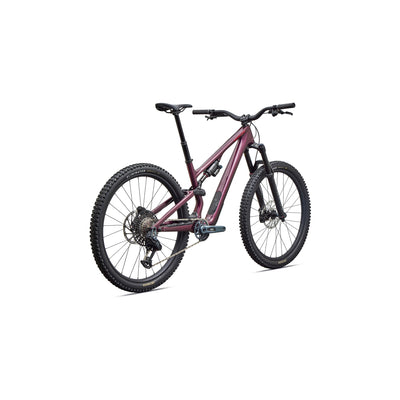 Stumpjumper 15 EVO Expert