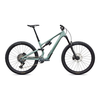 Stumpjumper 15 EVO Expert