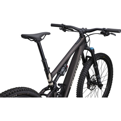 Turbo Levo SL 2 Comp Carbon