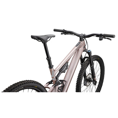 Turbo Levo SL 2 Expert
