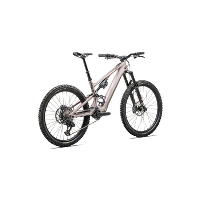 Turbo Levo SL 2 Expert