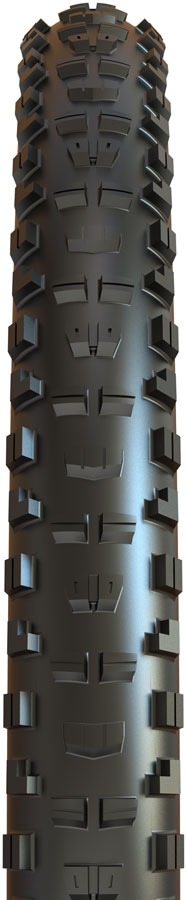 Minion DHR II Tire