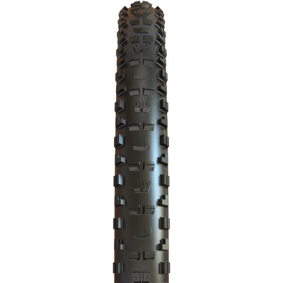 Minion DHR II Tire